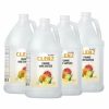 Restroom Supplies * | Alpine Industries Hand Soaps And Hand Sanitizers Alpine Alpc-6 Clenz Instant Alcohol Free Foam Sanitizer, Citrus Scent, 1 Gallon, 4/Carton